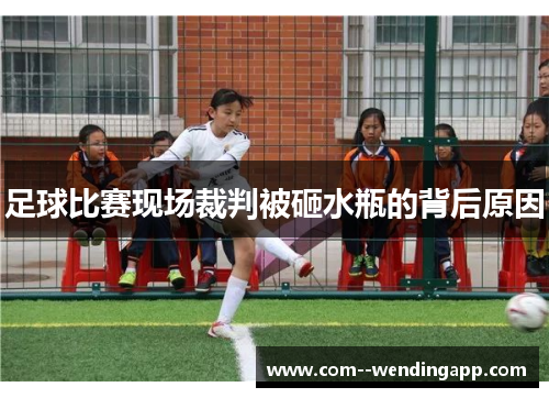 足球比赛现场裁判被砸水瓶的背后原因