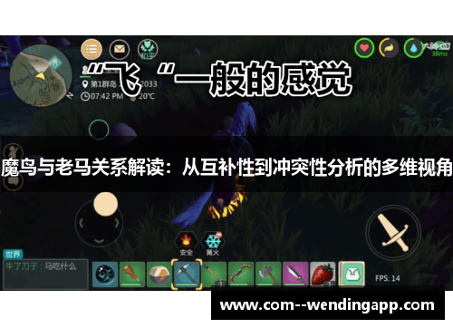 魔鸟与老马关系解读：从互补性到冲突性分析的多维视角