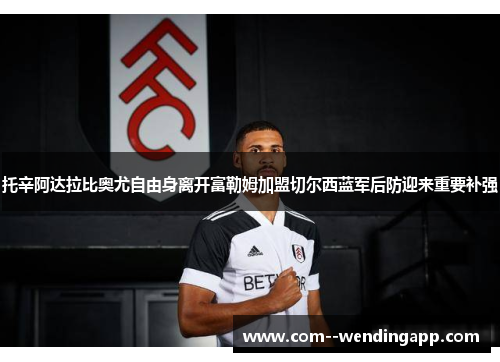 托辛阿达拉比奥尤自由身离开富勒姆加盟切尔西蓝军后防迎来重要补强 托辛阿达拉比奥尤自由身离开富勒姆加盟切尔西蓝军后防迎来重要补强